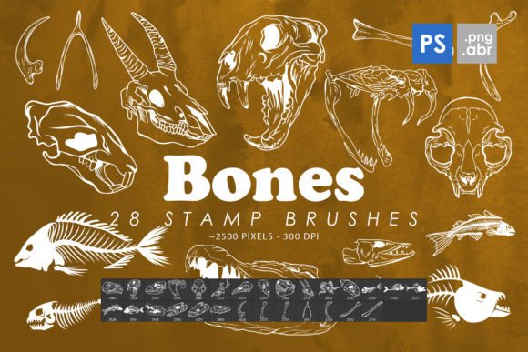 Bones Photoshop Stamp Brushes: Enhancing Your Creative Workflow