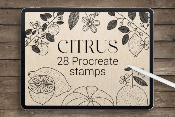 Citrus Procreate Stamps: A Creative Tool for Digital Artists and Designers