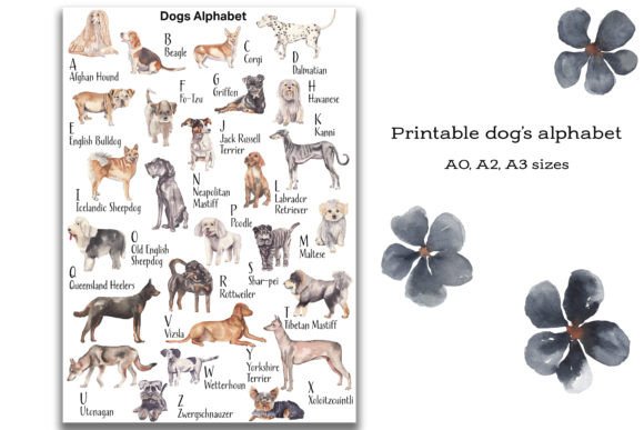 Dog's Alphabet with Watercolor Artworks